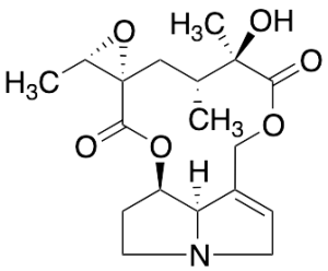 Jacobine