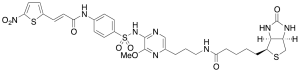 Biotin-Necrosulfonamide Propyl Amide