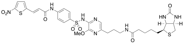 Biotin-Necrosulfonamide Propyl Amide