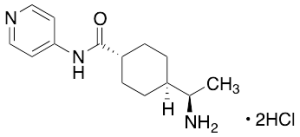 Y-27632 Dihydrochloride