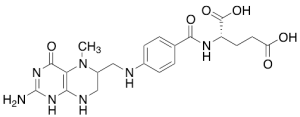 N-Methyltetrahydrofolic Acid