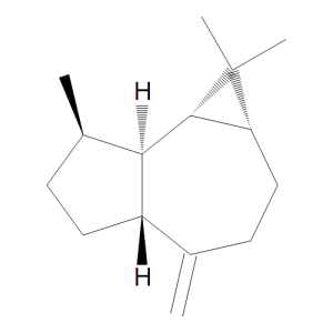 (+)-Aromadendrene