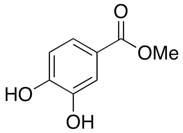 3,4-Dihydroxybenzoic Acid Methyl Ester
