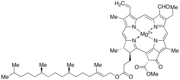 Chlorophyll b (Technical Grade)