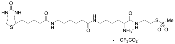 N-Methanethiosulfonylethylene-N6-(6-biotinamidocaproyl)lysineamido-N-Alpha-ammonium Trifluoroacetic Acid Salt