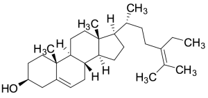 5,24-Stigmastadienol