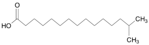 14-Methylpentadecanoic Acid
