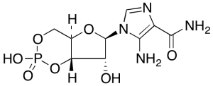 AICAR 3’,5’-Cyclic Phosphate