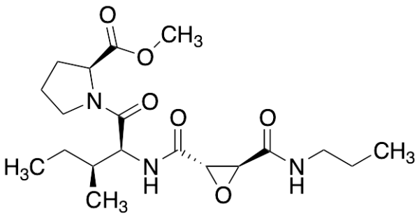 CA-074 Methyl Ester