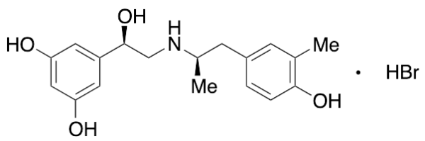 (1RS)-1-(3,5-Dihydroxyphenyl)2-[[(1RS)-2-(4-hydroxy-3-methylphenyl)-1-methylethyl]aminoethanol Hydrobromide