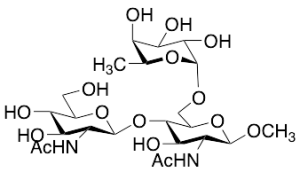 Methyl 2-Acetamido-4-O-(2-acetamido-2-deoxy-b-D-gluco- pyranosyl)-2-deoxy-6-O-(a-L-fucopyranosyl)-b-D-glucopyranoside