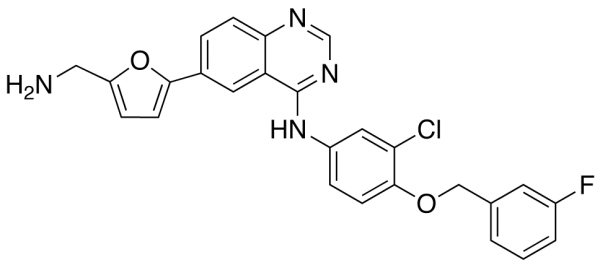 N-De[2-(methylsulfonyl)ethyl] Lapatinib