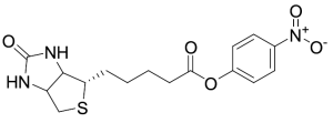 (+)-Biotin-ONP