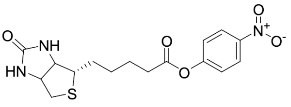 (+)-Biotin-ONP