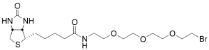1-Biotinylamino-3,6,9-trioxaundecane-11-bromide