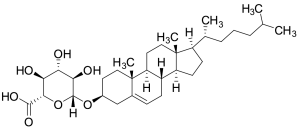 Cholesterol Glucuronide