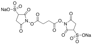 Butanedioic Acid 1,4-Bis(2,5-dioxo-3-sulfo-1-pyrrolidinyl) Ester Disodium Salt (Technical Grade)