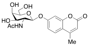 4-Methylumbelliferyl 2-Acetamido-2-deoxy-Beta-D-galactopyranoside