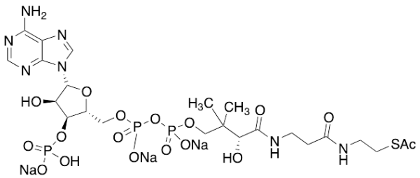 Acetyl Coenzyme A Trisodium Salt