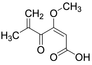 Penicillic Acid