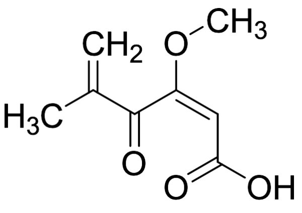 Penicillic Acid