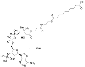Sebacyl-CoA Sodium Salt