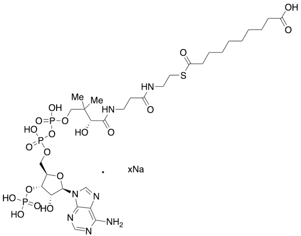 Sebacyl-CoA Sodium Salt