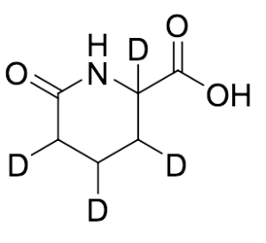 6-Oxopipecolic Acid-d4 (Major)