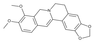 Dihydroberberine