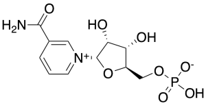 a-Nicotinamide Mononucleotide (>85%)