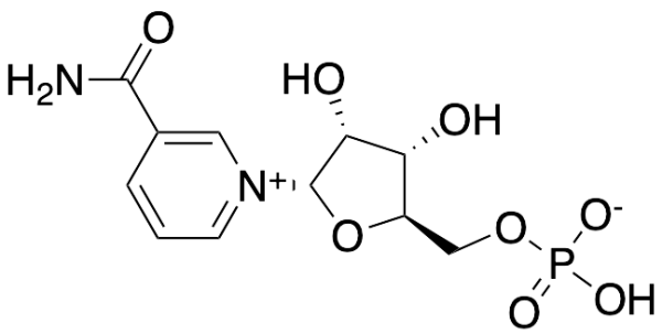 a-Nicotinamide Mononucleotide (>85%)