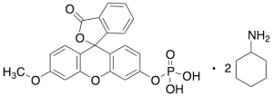 3-O-Methylfluorescein Phosphate Bis-Cyclohexylammonium Salt