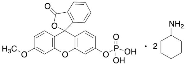 3-O-Methylfluorescein Phosphate Bis-Cyclohexylammonium Salt