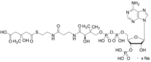 HMG-CoA Sodium Salt