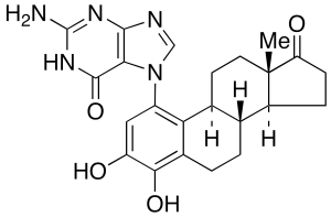 4-Hydroxy Estrone 1-N7-Guanine