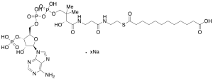 Dodecanedioyl CoA Sodium Salt