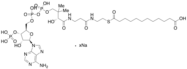 Dodecanedioyl CoA Sodium Salt