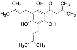 Deoxyhumulone