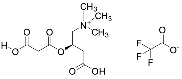 Malonyl-L-carnitine Trifluoroacetate
