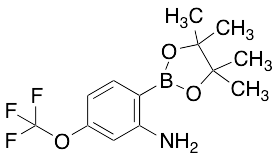 2-Amino-4-trifluoromethoxyphenylboronic acid pinacol ester