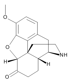 Norhydrocodone (~90%)