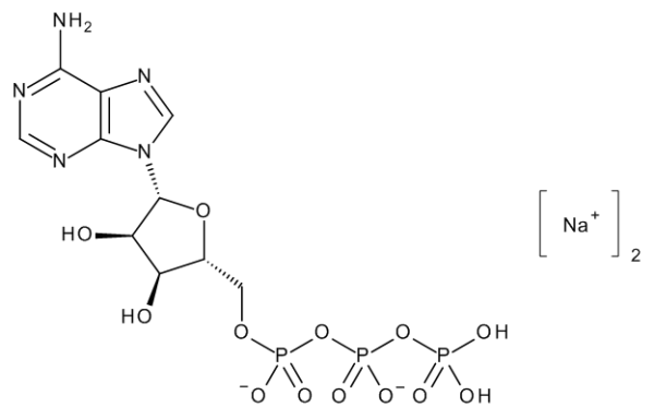 Adenosine 5'-Triphosphate Disodium Salt