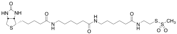 N-Biotinylcaproylaminocaproylaminoethyl Methanethiosulfonate