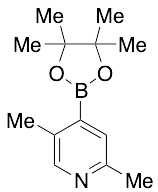 2,5-Dimethyl-4-(4,4,5,5-tetramethyl-1,3,2-dioxaborolan-2-yl)-pyridine (>90%)