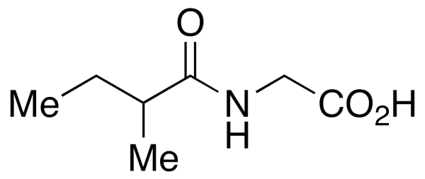 2-Methylbutyrylglycine