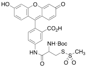(L)-2-[(t-Boc)amino]-2-[(5-Fluoresceinyl)aminocarbonyl]ethyl Methanethiosulfonate
