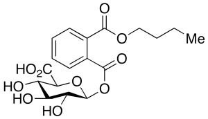 Monobutyl Phthalate Acyl-Beta-D-glucuronide