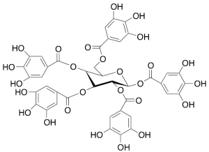 1,2,3,4,6-Penta-O-galloyl-Beta-D-glucopyranose >90%