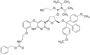 8-OxoG Clamp CEP