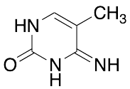 5-Methylcytosine (~90%)